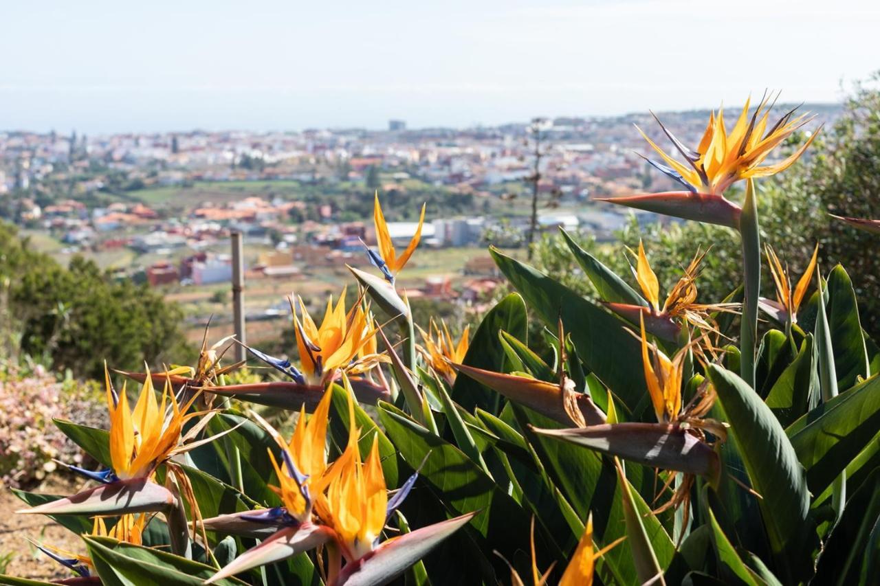Live La Laguna Casita Vieja Exteriör bild